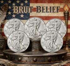 lOT OF 5 2025 ..999 American Eagle Silver-Round 1 oz Brilliant Uncirculated