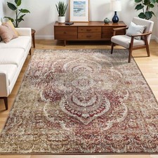 Salford Floral Medallion Abstract Distressed Stain Resistant Indoor Area Rug