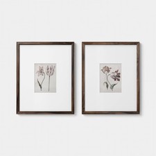 16"x20" Set of 2 Floral Framed Wall Art Underglass - Threshold (Open box)