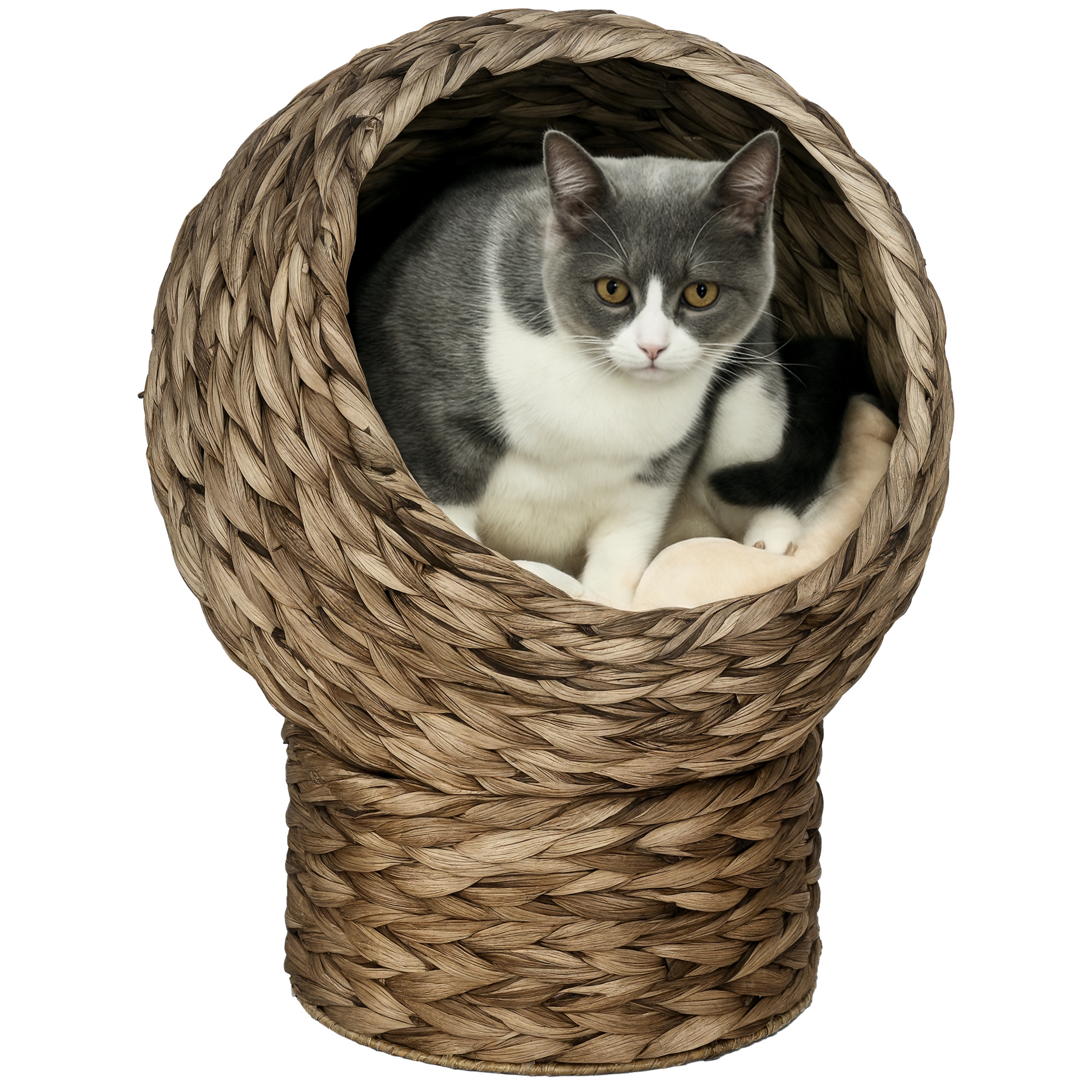 PawHut Handwoven Elevated Cat Bed with Soft Cushion & Egg Chair Shape, Basket Bed Kitty House with Stand, Raised Wicker House for Indoor Cats, 20" H,