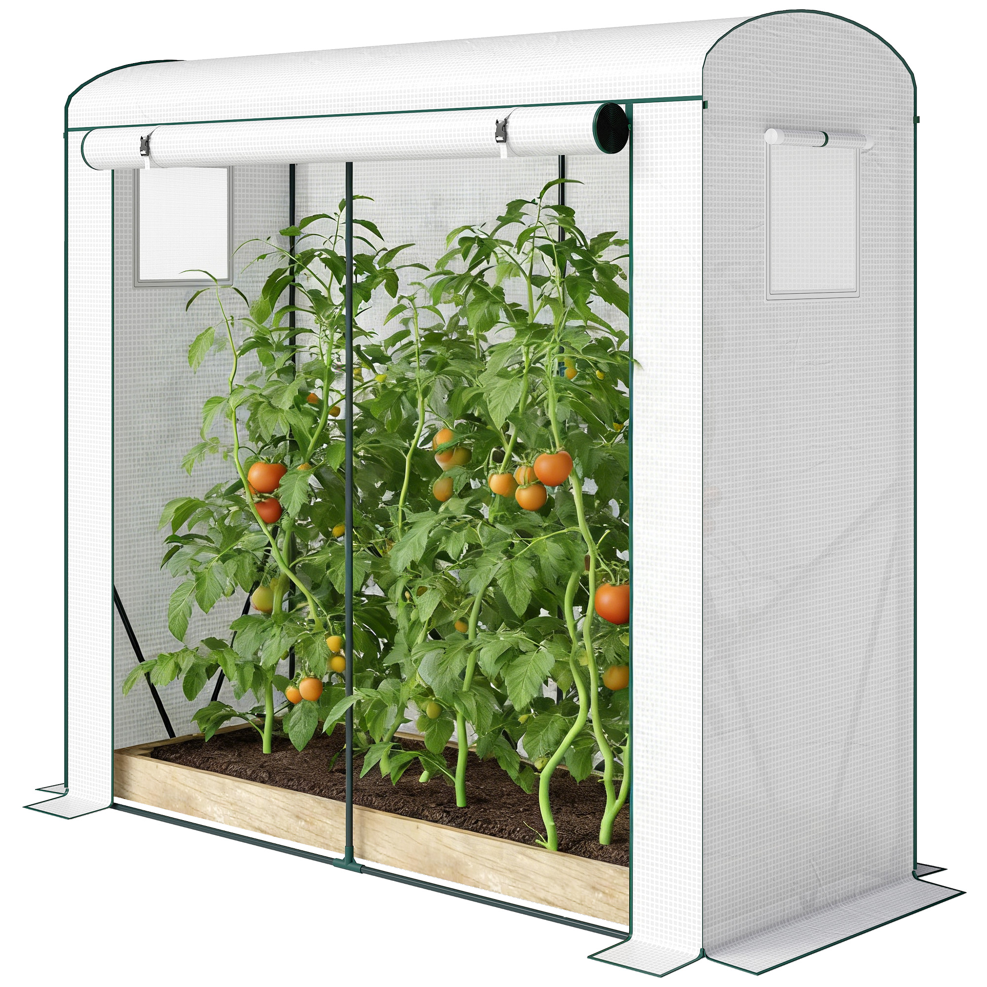 Outsunny Mini Greenhouse, Portable Greenhouse with Roll-Up Door and 2 Mesh Windows, PE Cover, 78.7" x 29.5" x 74", White
