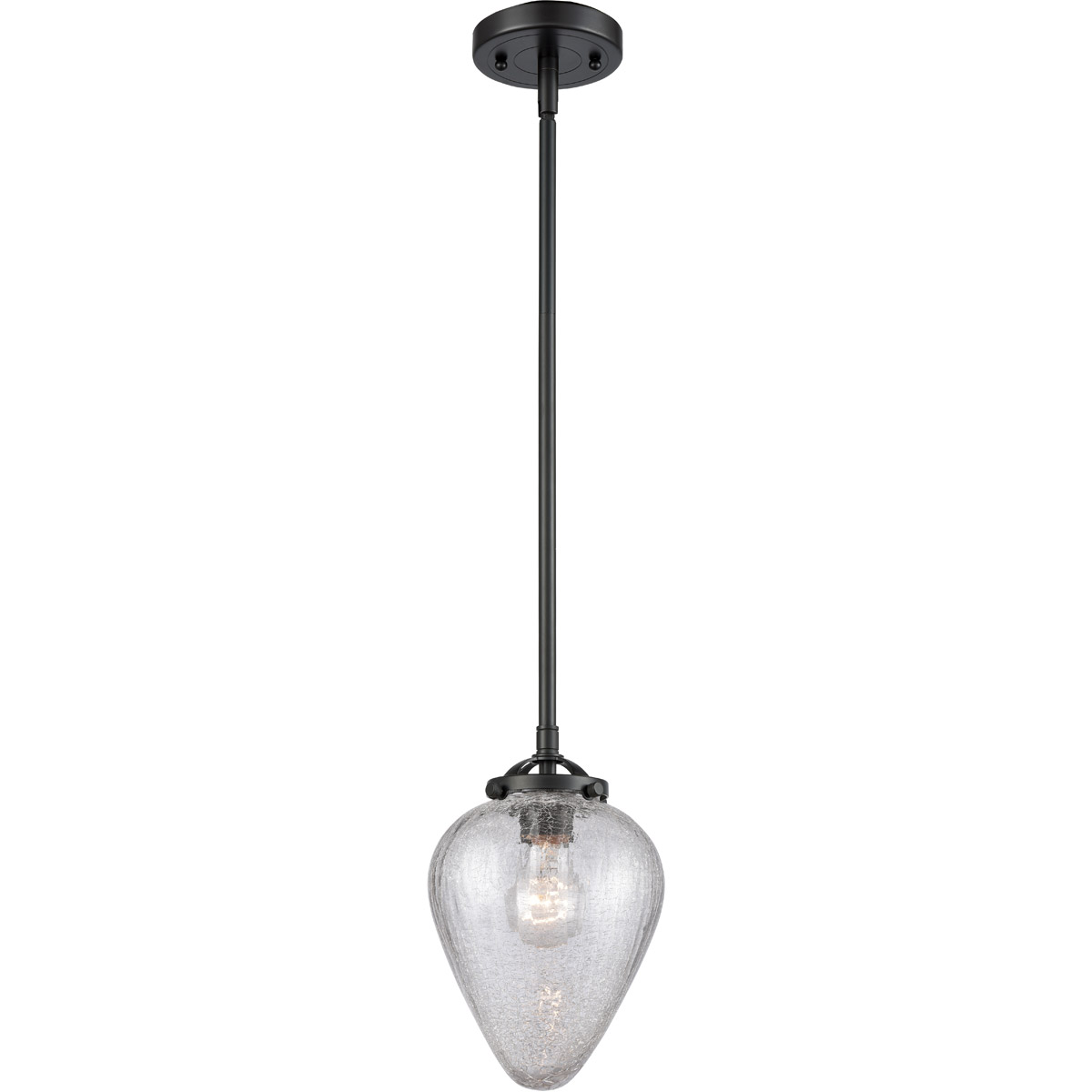 Innovations Lighting 284-1S-BAB-G165-LED Nouveau Geneseo LED 7 inch Black Antique Brass Mini Pendant Ceiling Light, Nouveau