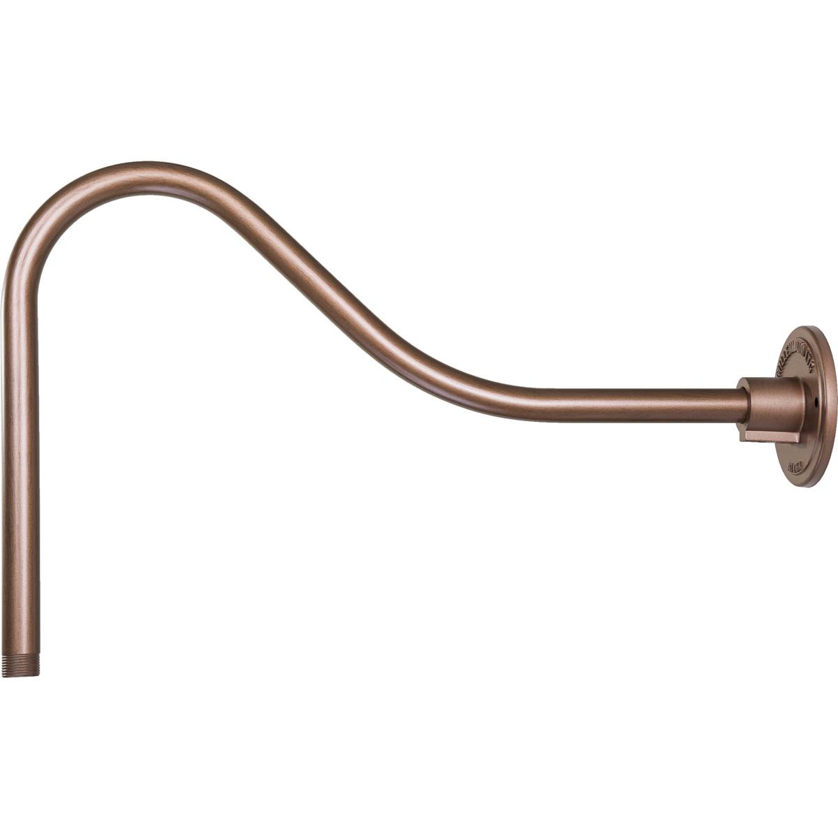 Millennium Lighting RGN23-CP R Series Copper Goose Neck