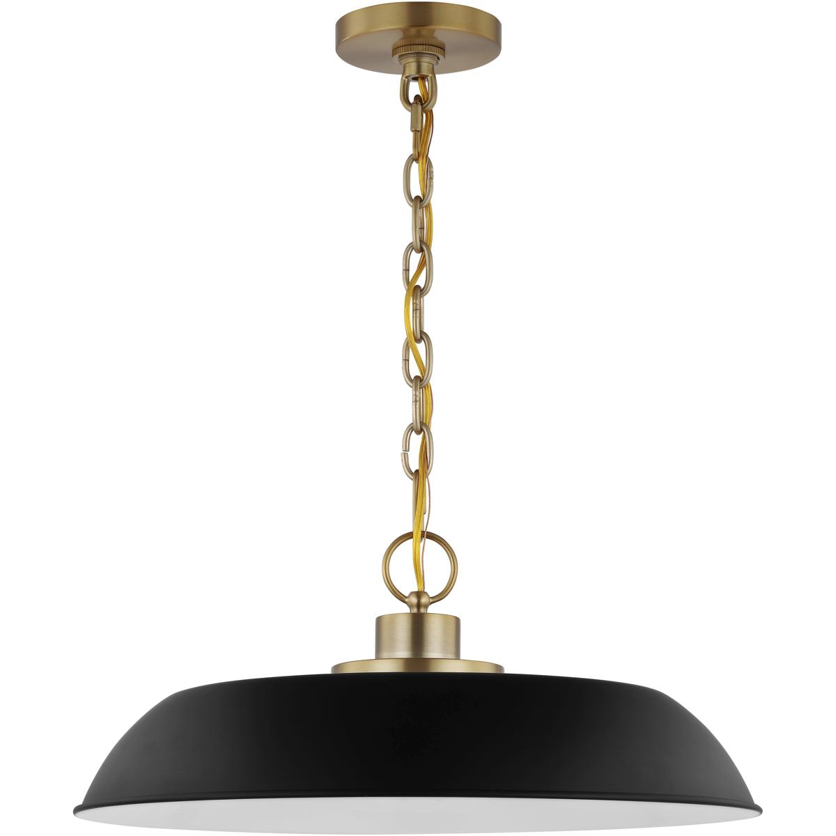 Nuvo 60/7484 Colony 1 Light 19.88 inch Matte Black/Burnished Brass Pendant Ceiling Light