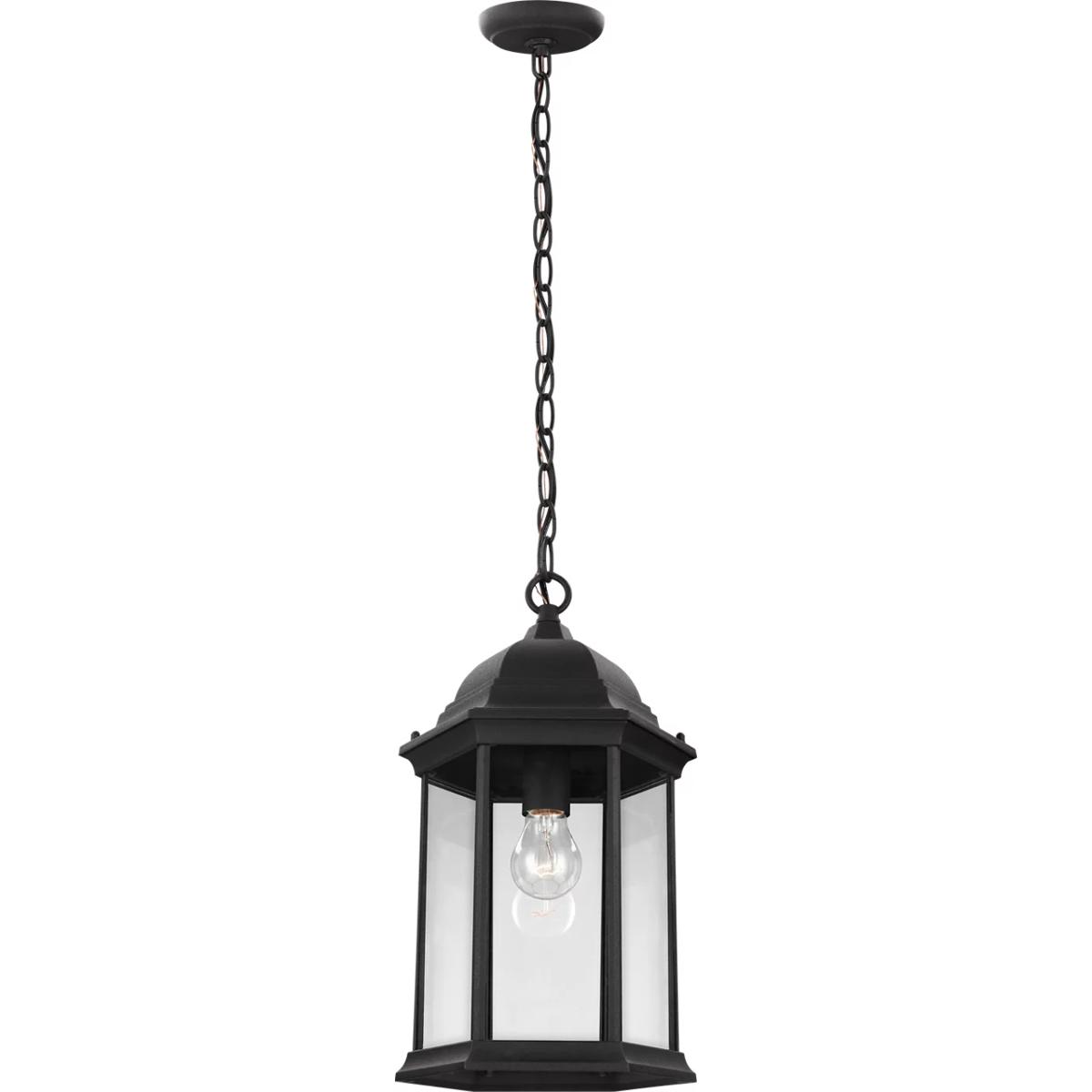Generation Lighting 6238701-12 Sevier 1 Light 9.38 inch Black Outdoor Pendant