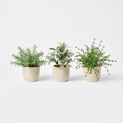 Set of 3 Mini Potted Herbs - Threshold™ designed with Studio McGee