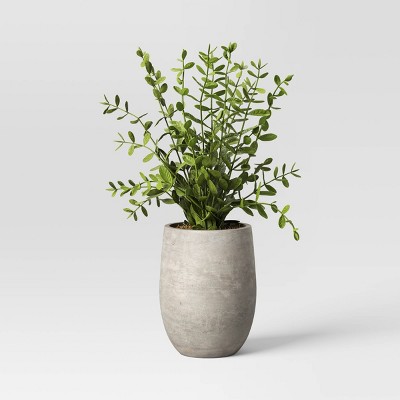 14" Artificial Potted Privet - Threshold™ designed with Studio McGee