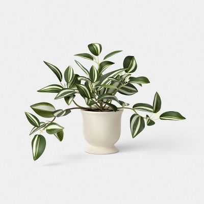 8.25" Trailing Variegated Plant in Trophy Vase - Room Essentials™