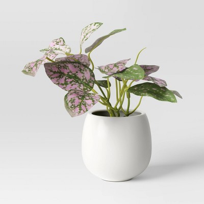 6" Mini Artificial Polka Dot Plant - Threshold™