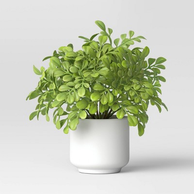 Artificial Boxwood Plant - Threshold™: Indoor Faux Greenery, Melamine Pot, Tabletop Decor, 4.3" Height