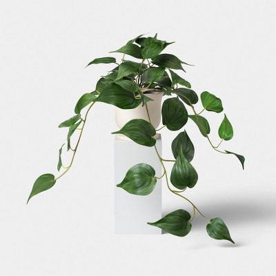 Trailing Plant in Trophy Vase - Room Essentials™