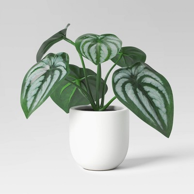 5.5" Mini Artificial Peperomia - Threshold™