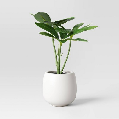 6" Mini Artificial Schefflera - Threshold™